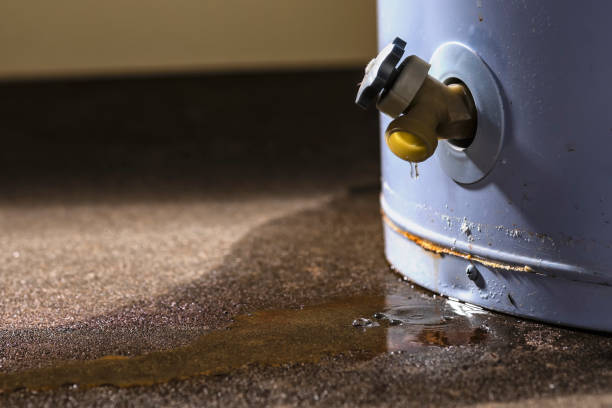 Best Water damage cleanup near me  in Upper Exeter, PA