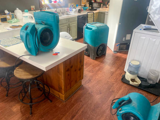 Best Water damage restoration company  in Upper Exeter, PA