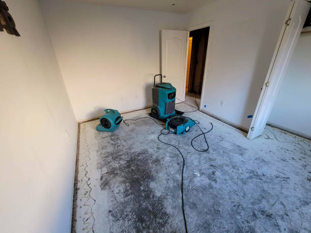 Best Basement water damage restoration  in Upper Exeter, PA