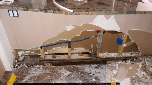 Best Mold removal after water damage  in Upper Exeter, PA