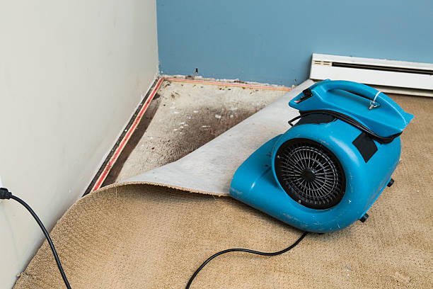 Best Water damage restoration near me  in Upper Exeter, PA